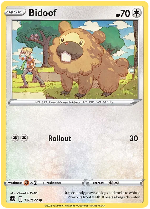 Bidoof (120/172) - Brilliant Stars