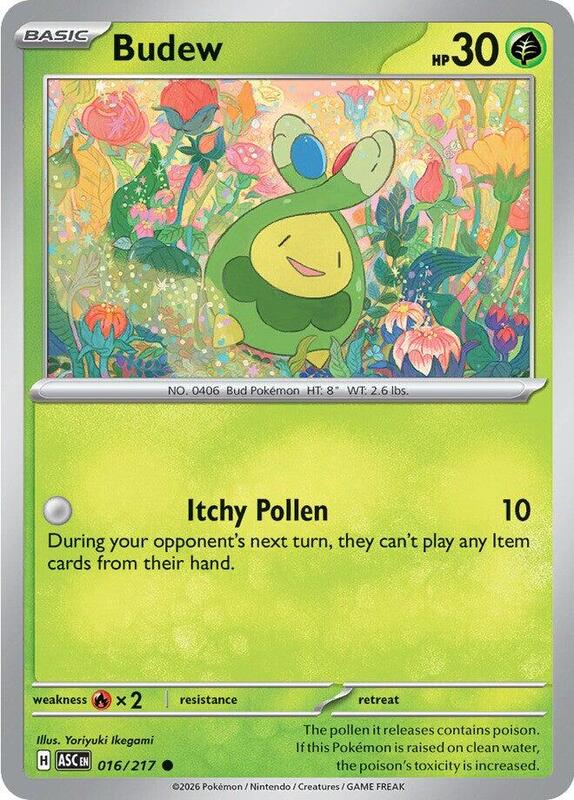 Budew (016/217) - Ascended Heroes