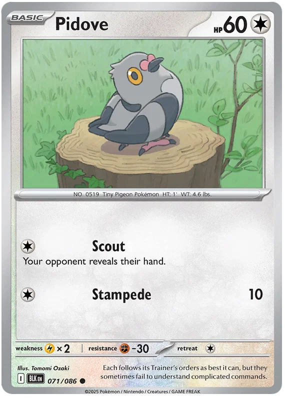 Pidove (071/086) - Black Bolt