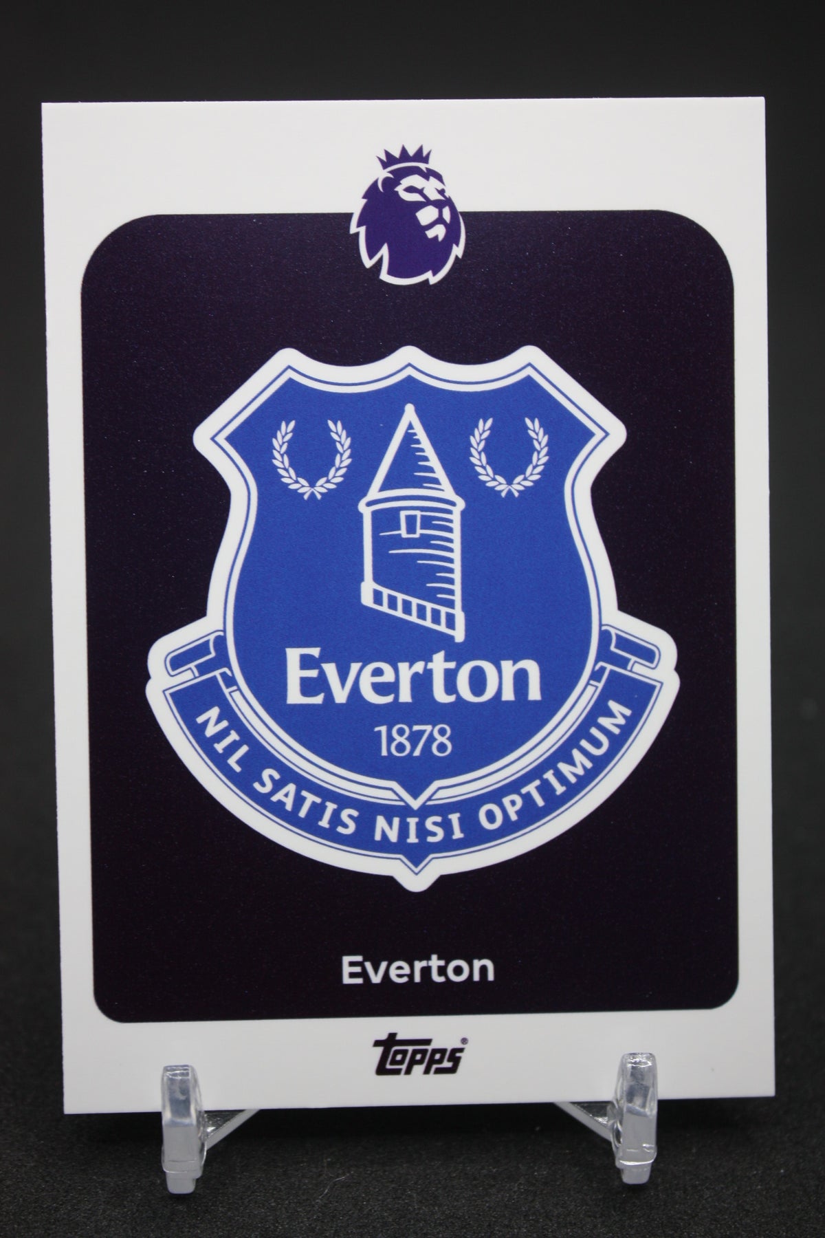 2025/26 Everton Team Badge #127