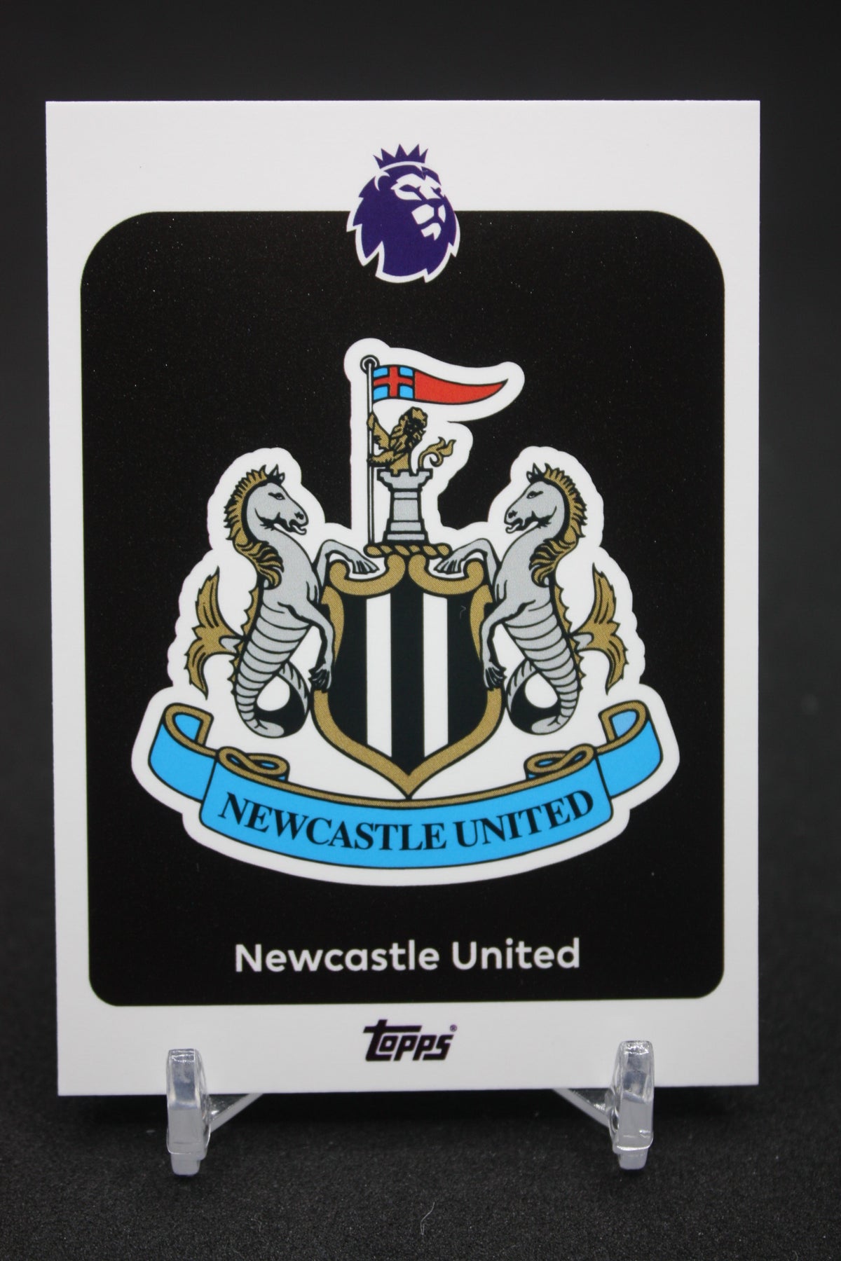 2025/26 Newcastle United Team Badge #217
