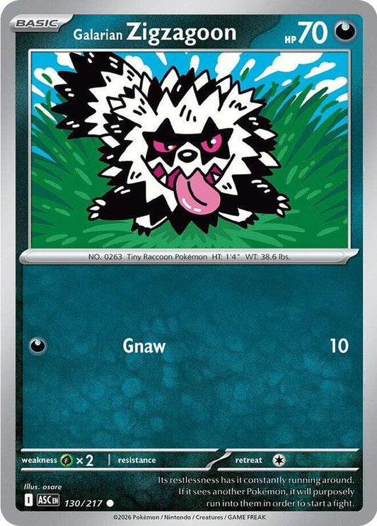 Galarian Zigzagoon (130/217) - Ascended Heroes