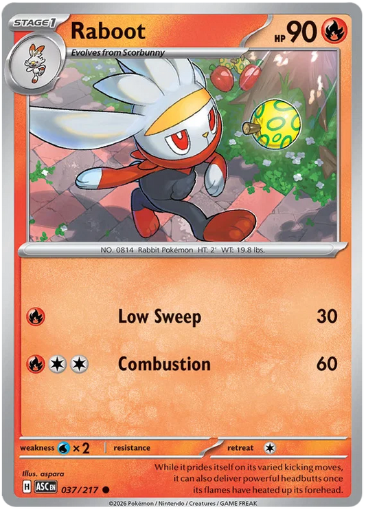 Raboot [Ball Reverse Holo] (037/217) - Ascended Heroes