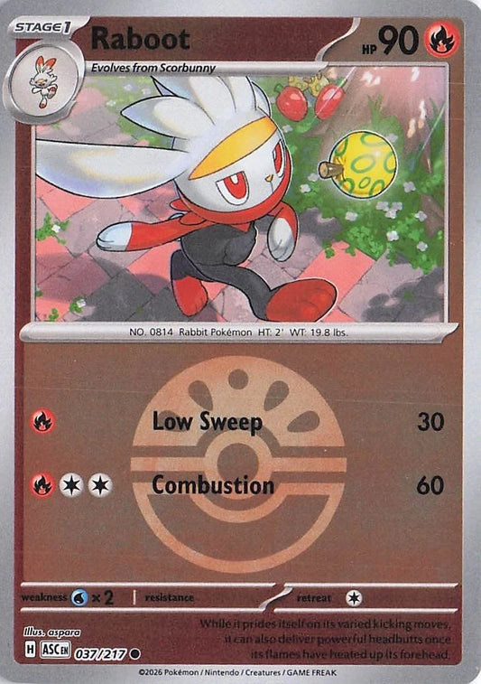 Raboot Ball Reverse Holo (037/217) - Ascended Heroes