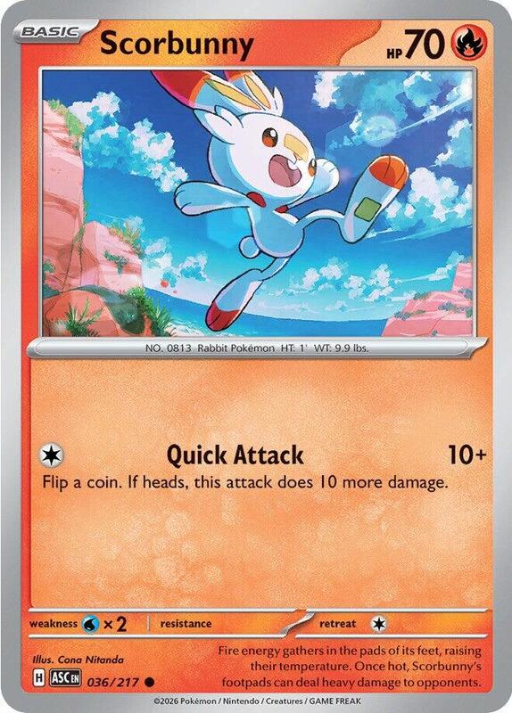 Scorbunny (036/217) - Ascended Heroes